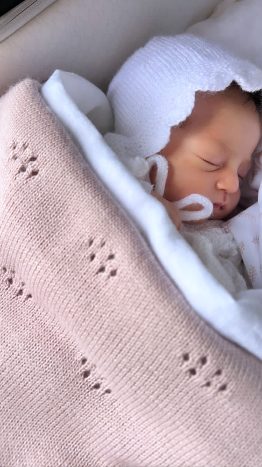 Manta Hortensia Rosa Viejo